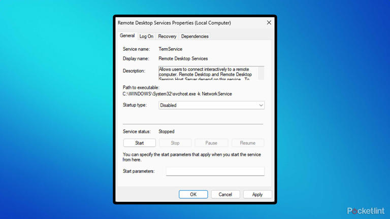 Windows 11 Remote Desktop Services.