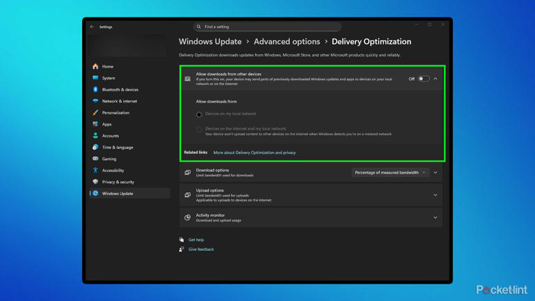 Windows 11 Update Optimization service.