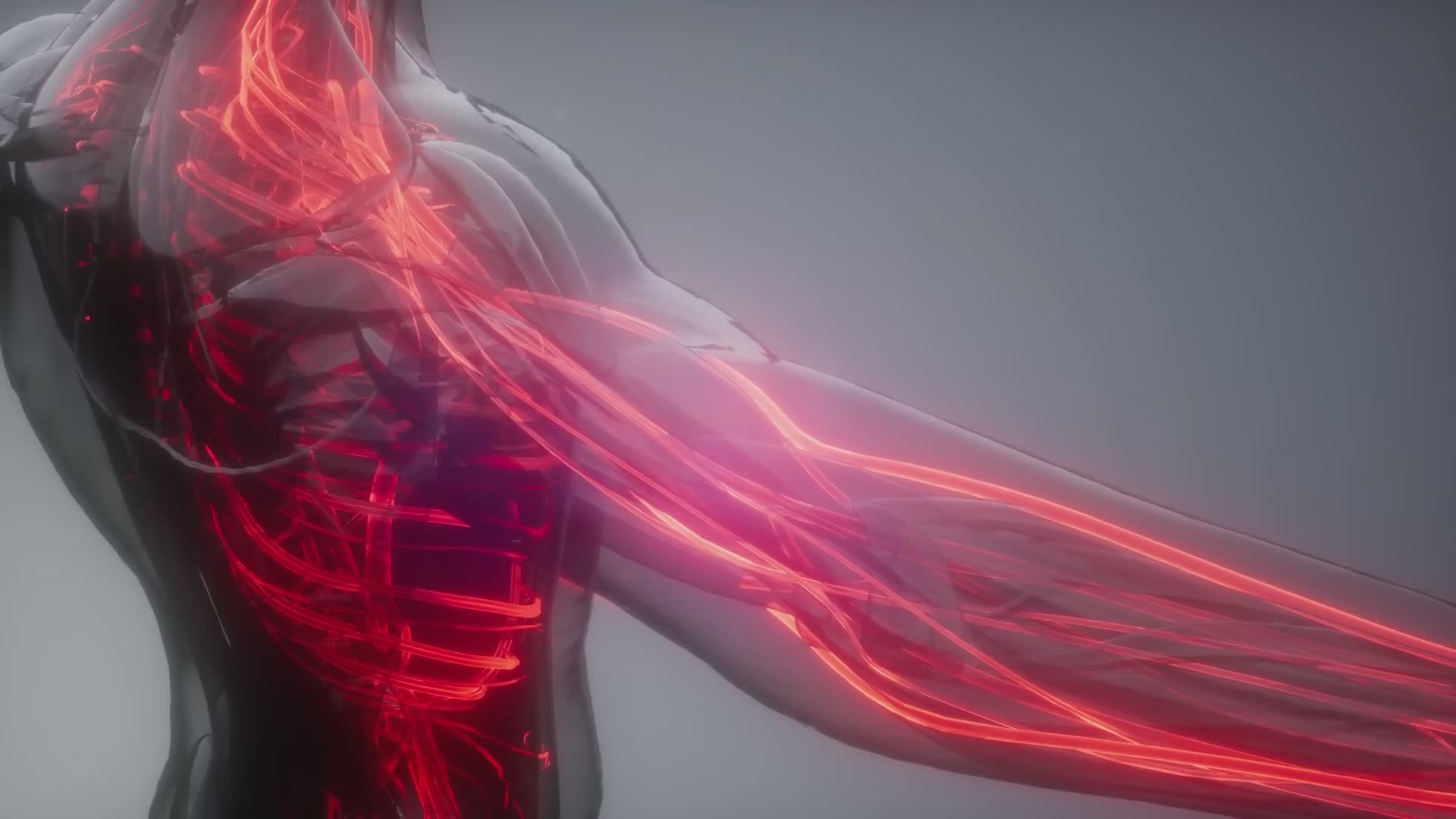 Body science discoveries