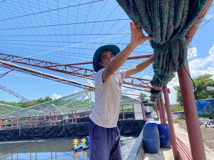 Người dân nuôi trồng thuỷ sản xã Hải Lạng, tỉnh Quảng Ninh gia cố mái che ao nuôi.