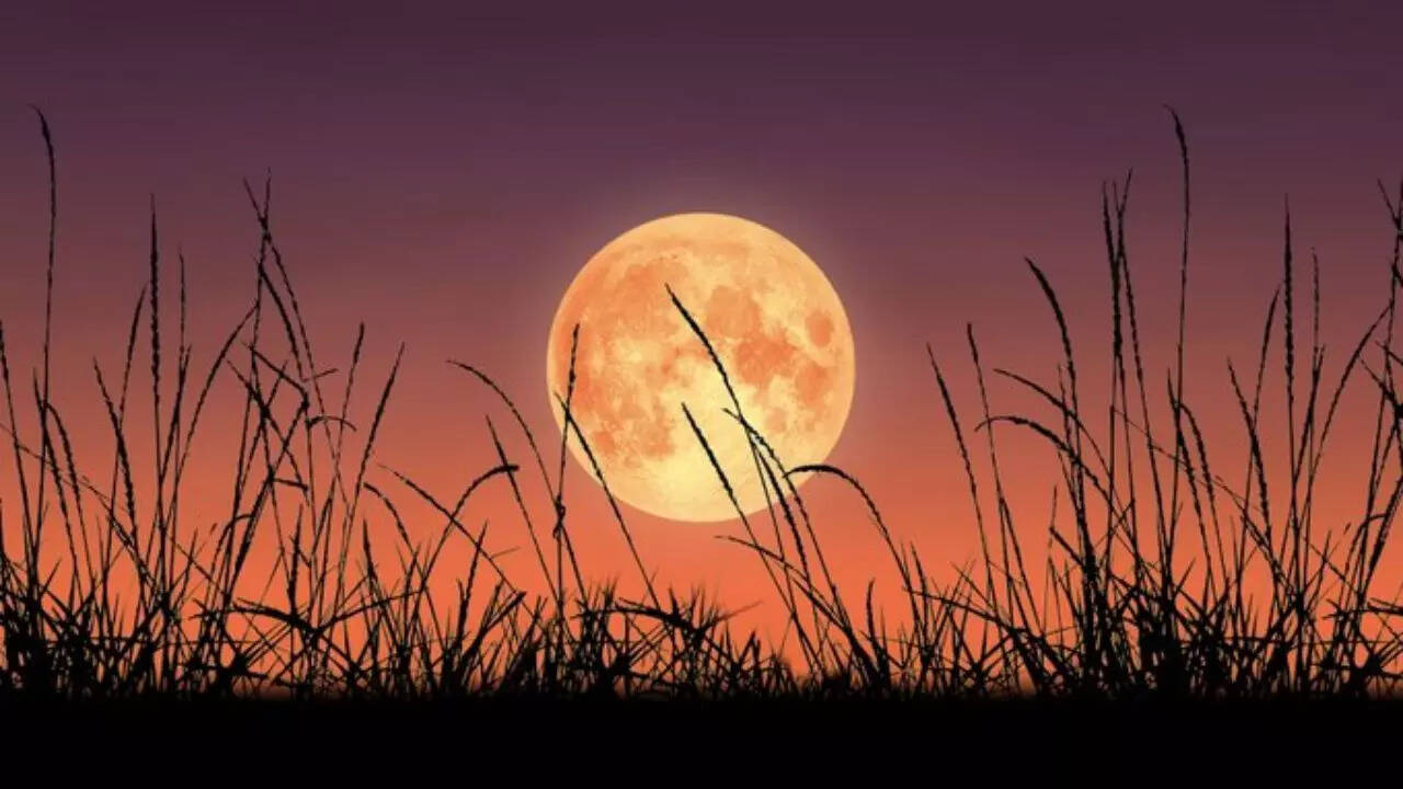 Harvest Moon 2025: When, where and how to see the rare October ...