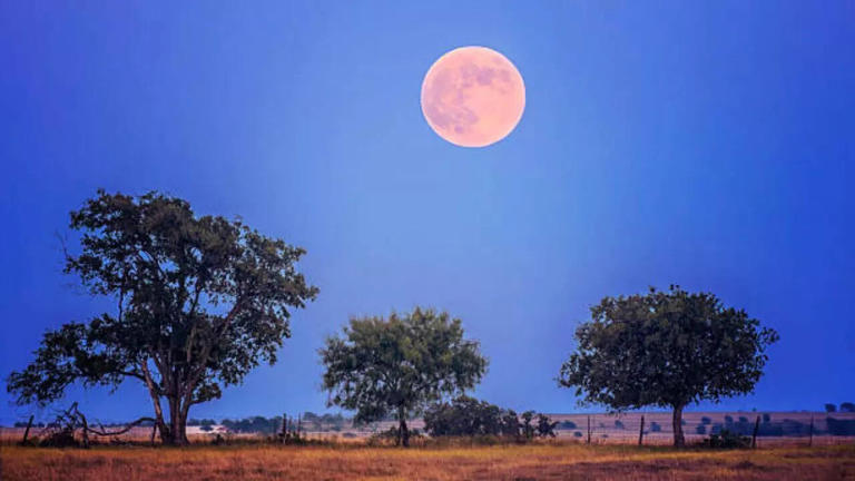 Harvest Moon 2025: When, where and how to see the rare October ...