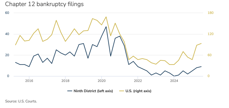 Farm bankruptcies are soaring amid low crop prices, while Trump considers bailout of up to $14 billion