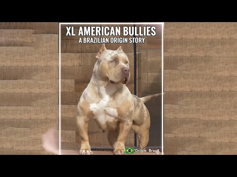 Brazil’s Secret Dog Breed Revealed!