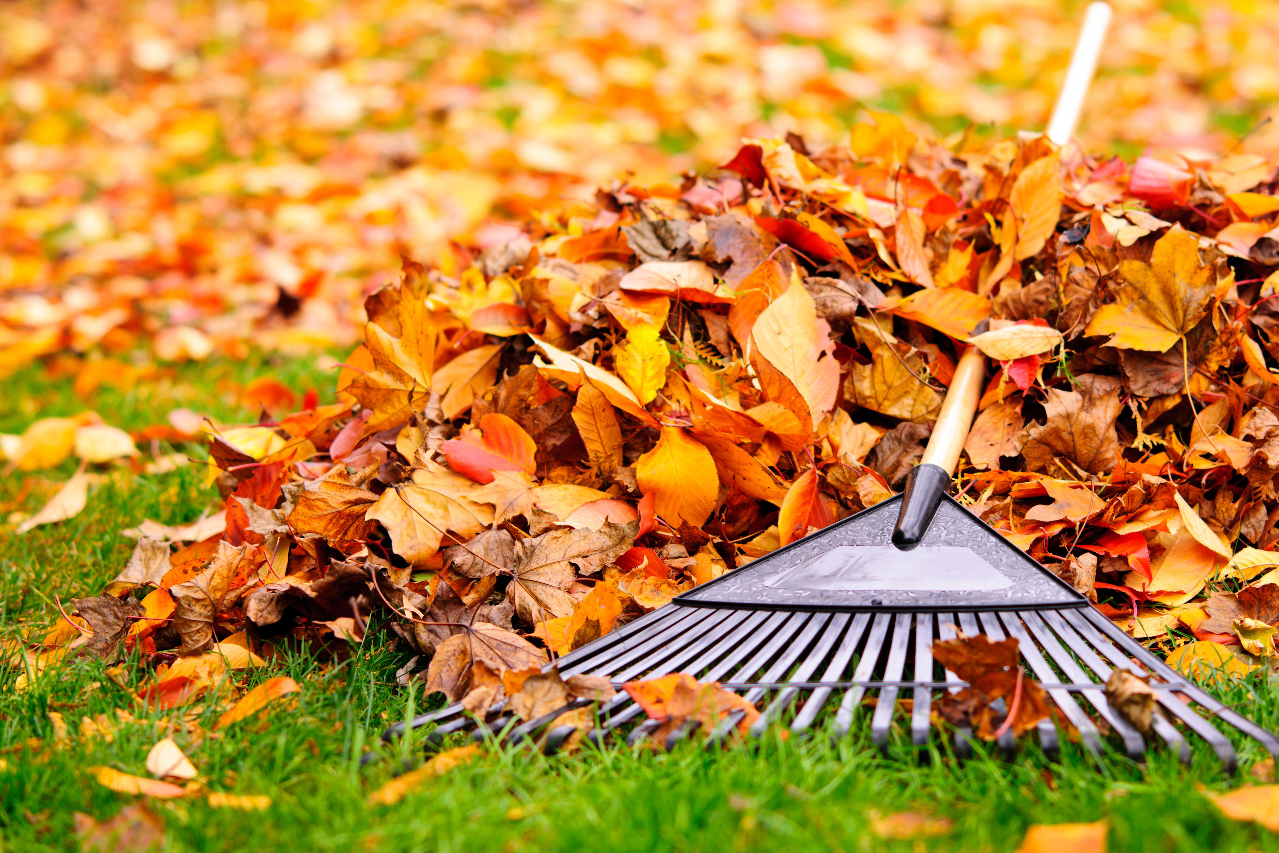 City of Pittsburgh to host bi-annual yard debris collection event