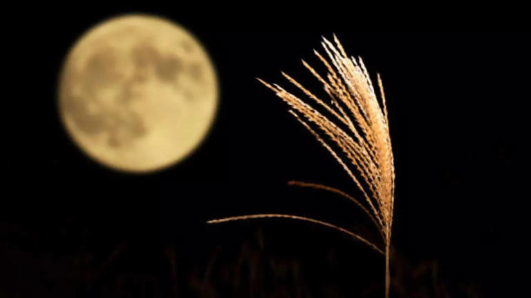 Harvest Moon 2025: When, where and how to see the rare October ...