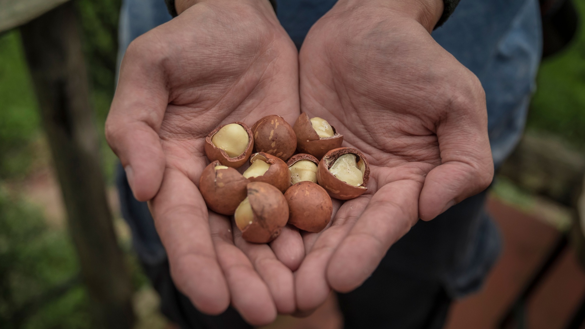 8 Nuts Seniors Shouldn’t Eat