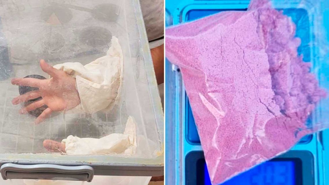 ¡Impactante Descubrimiento en La Paternal! Hallan Laboratorio Clandestino de Drogas con Incubadoras para Producción Masiva - news news from Perfil