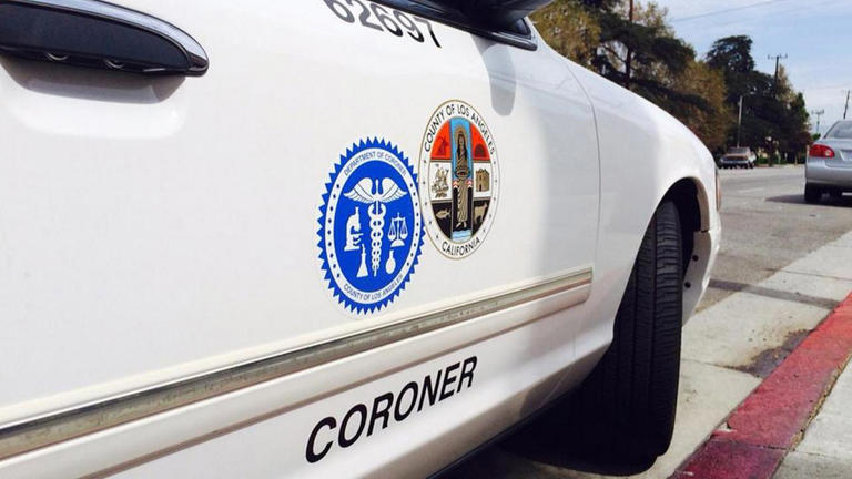 Man killed by Metro train in Highland Park