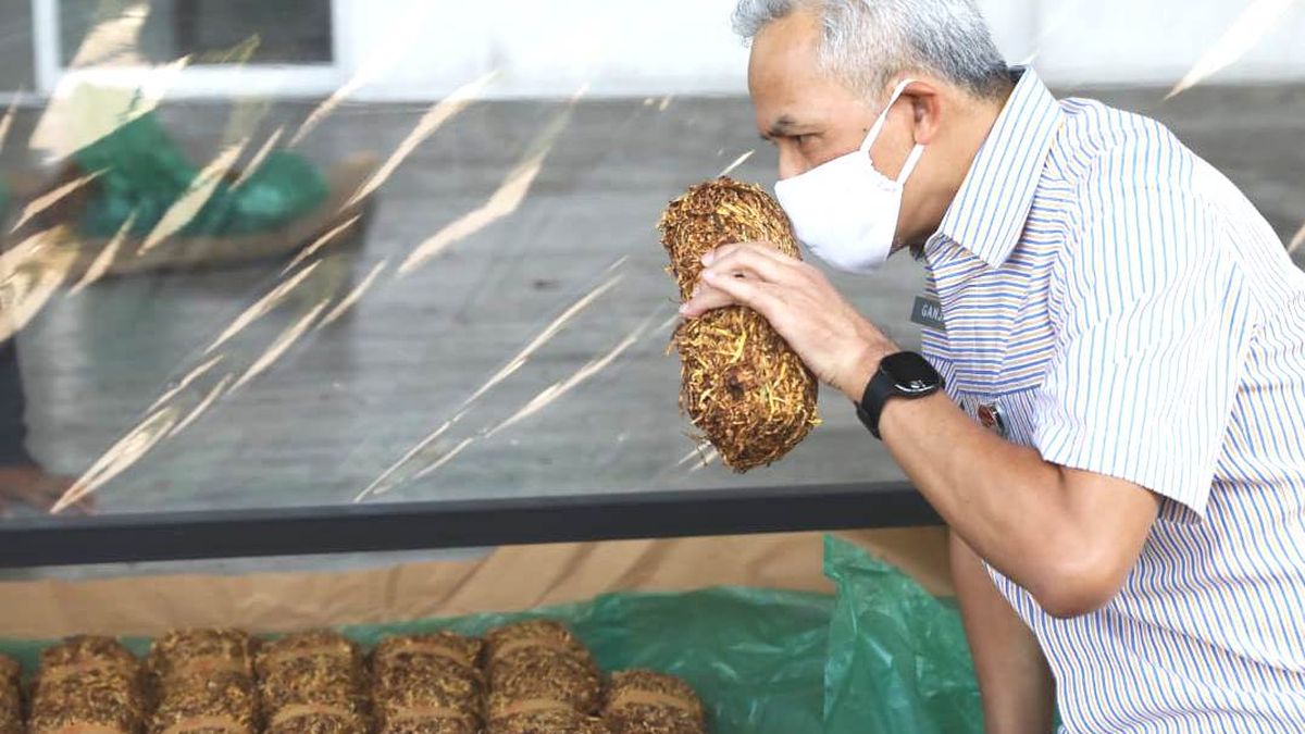 Balik Kekuasaan GGRM: Keluarga Wonowidjojo, Pemilik Rahasia Gudang Garam