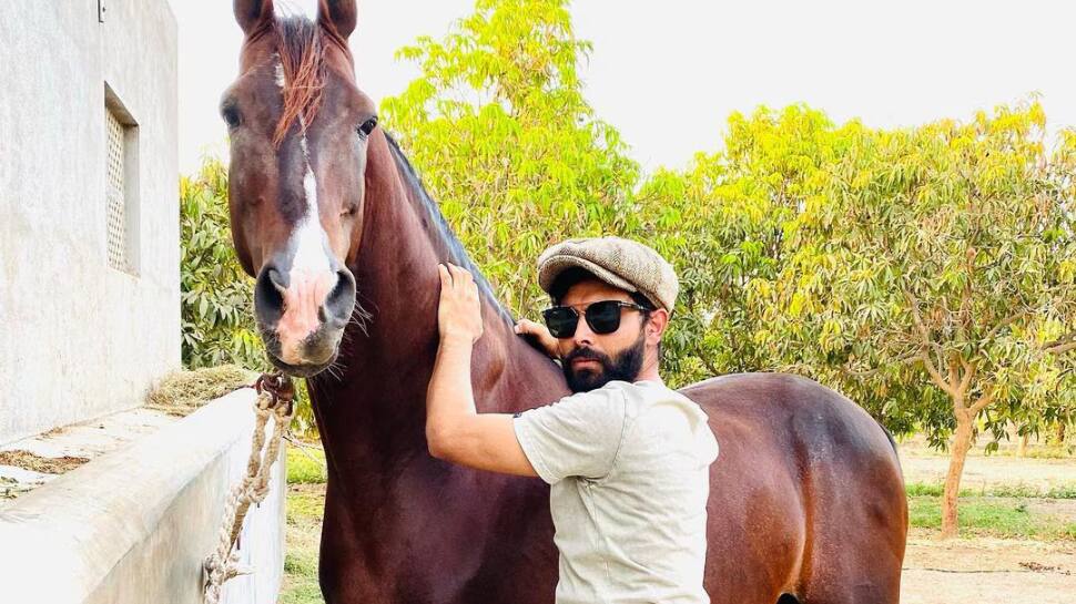 Inside Ravindra Jadeja’s Horse Collection: A Glimpse Into His ...