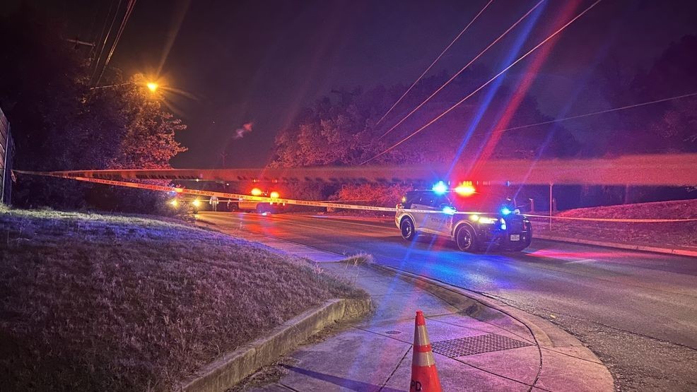 Pedestrian dies after being struck by vehicle in South Austin