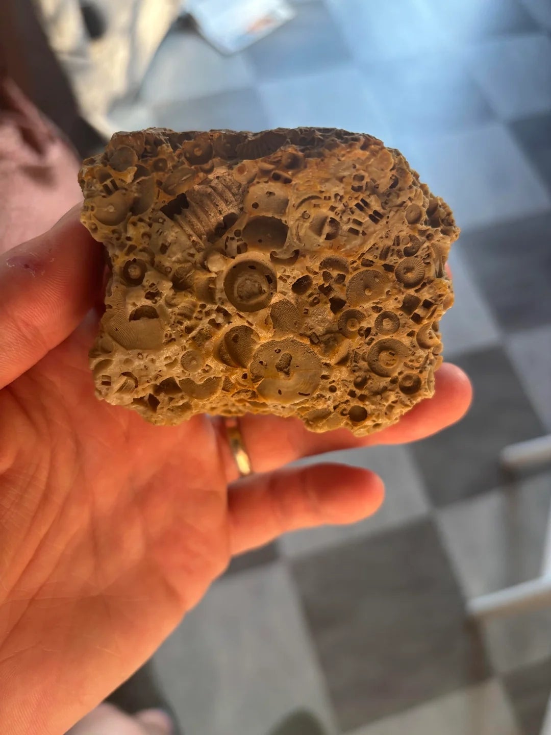 A hand holds a rock embedded with small gears and mechanical parts, resembling a