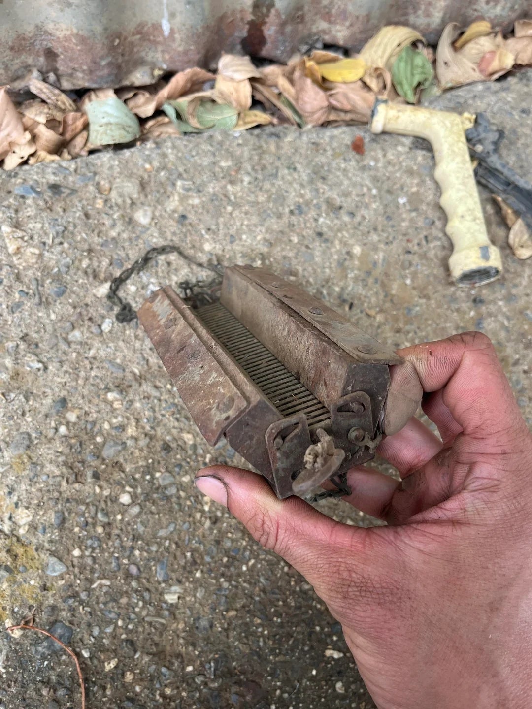 Person holds a rusted, vintage hair clipper outdoors, with fallen leaves and worn tools in the background