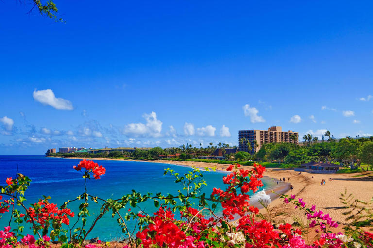 Where to stay on Maui with kids: Ka'anapali vs Wailea vs Kihei (2026)