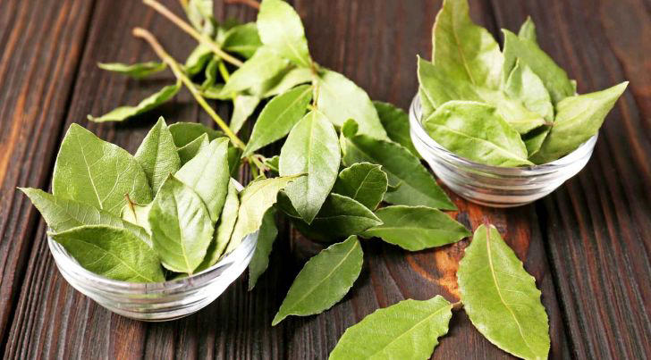 Pocos lo saben: qué le pasa al cuerpo si tomás té de laurel todos los días