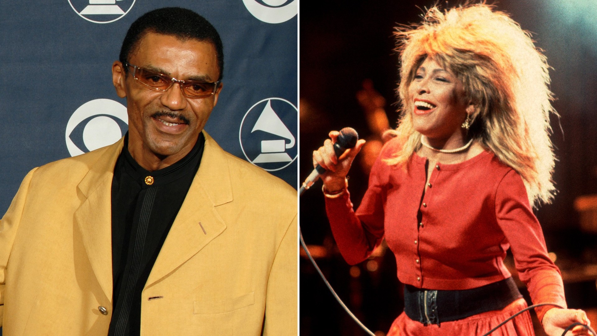 Tina Turner's son Ike Turner Jr. dies aged 67