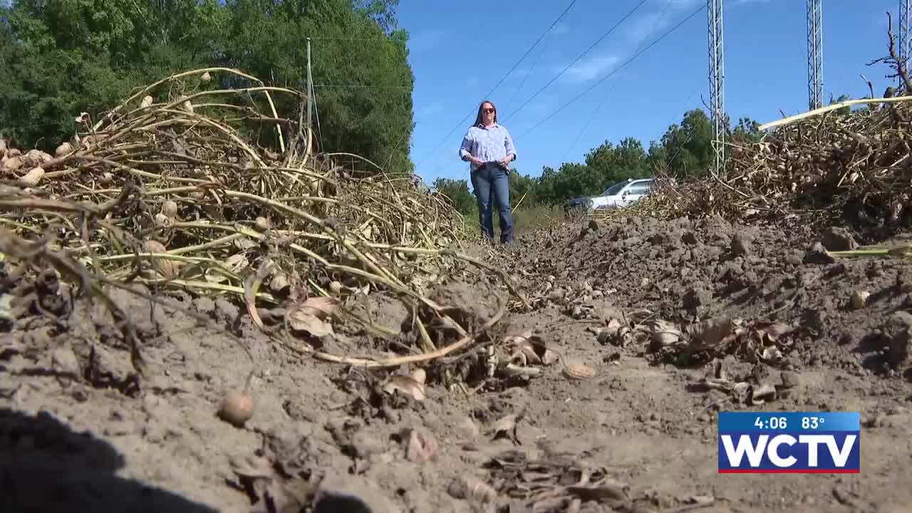 Drought leaves severe impact on farms and crops across South Georgia