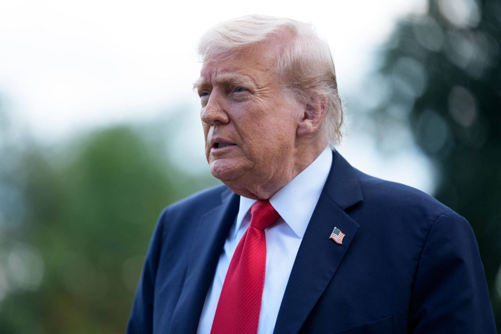 President Donald Trump’s declaration that Ukraine could retake all of its territory with NATO support drew praise from Kyiv and criticism from Russia. (MEGA)