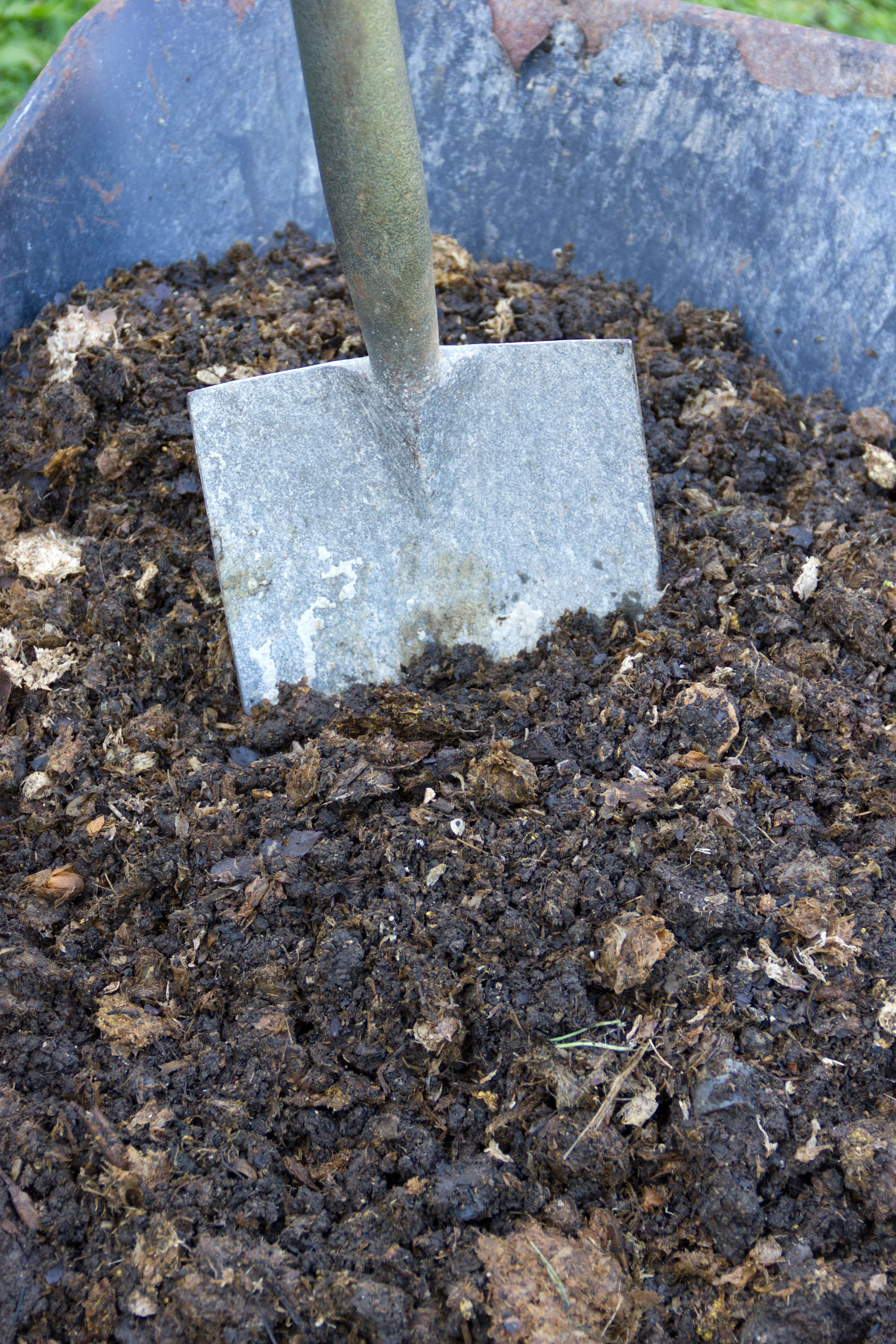 Expert shares top mulch tips for your garden this spring