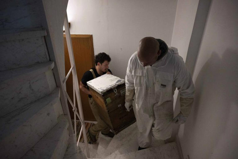 Городское пчеловодство Майкл Вараклас / Copyright 2025 The AP. Все права защищены.