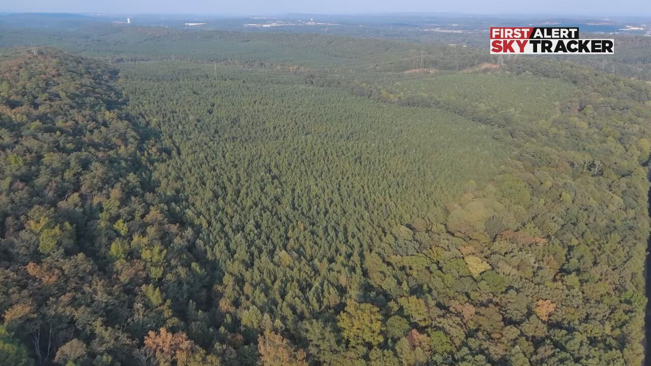 Proposed data center campus in Bessemer expands to 1,600 acres in ...