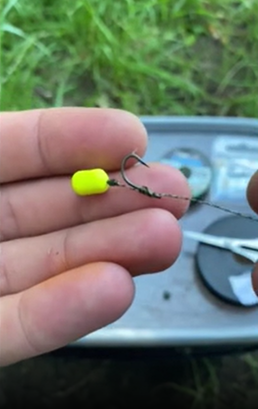 Epic Carp Rig Montage With Stunning Highlights