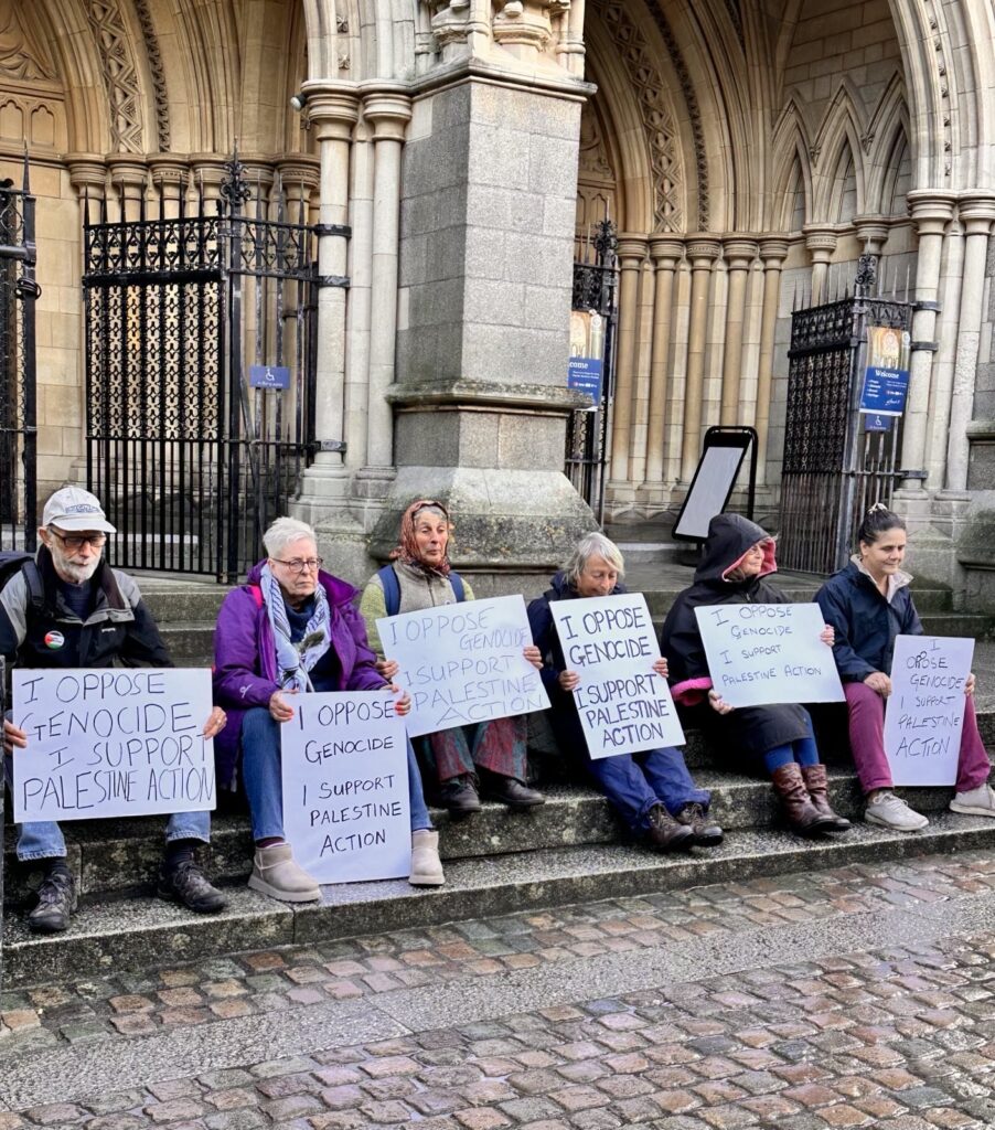 Two blind men among hundreds arrested at Palestine Action protest in London