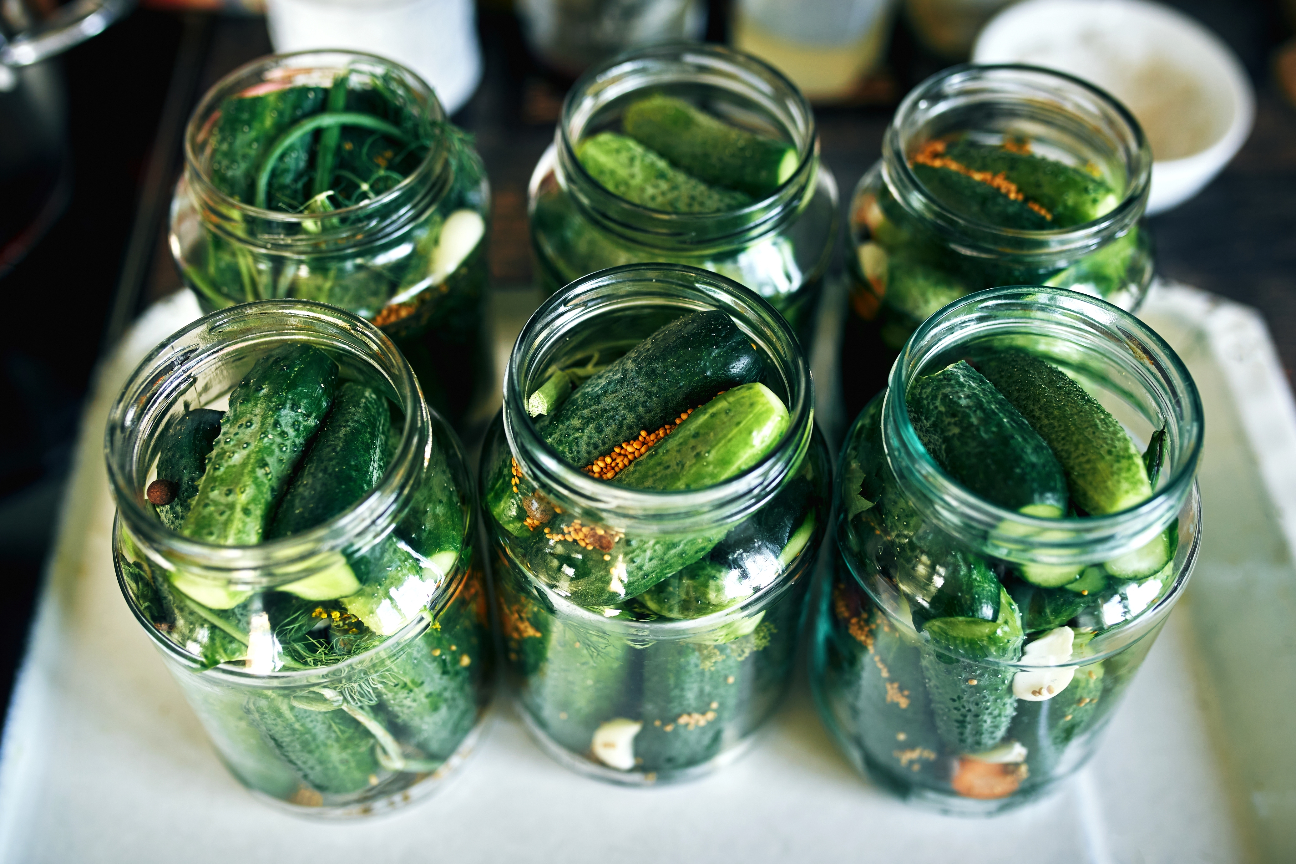 Jars of homemade pickles filled with cucumbers, spices, and garlic are arranged on a surface, ready for preservation