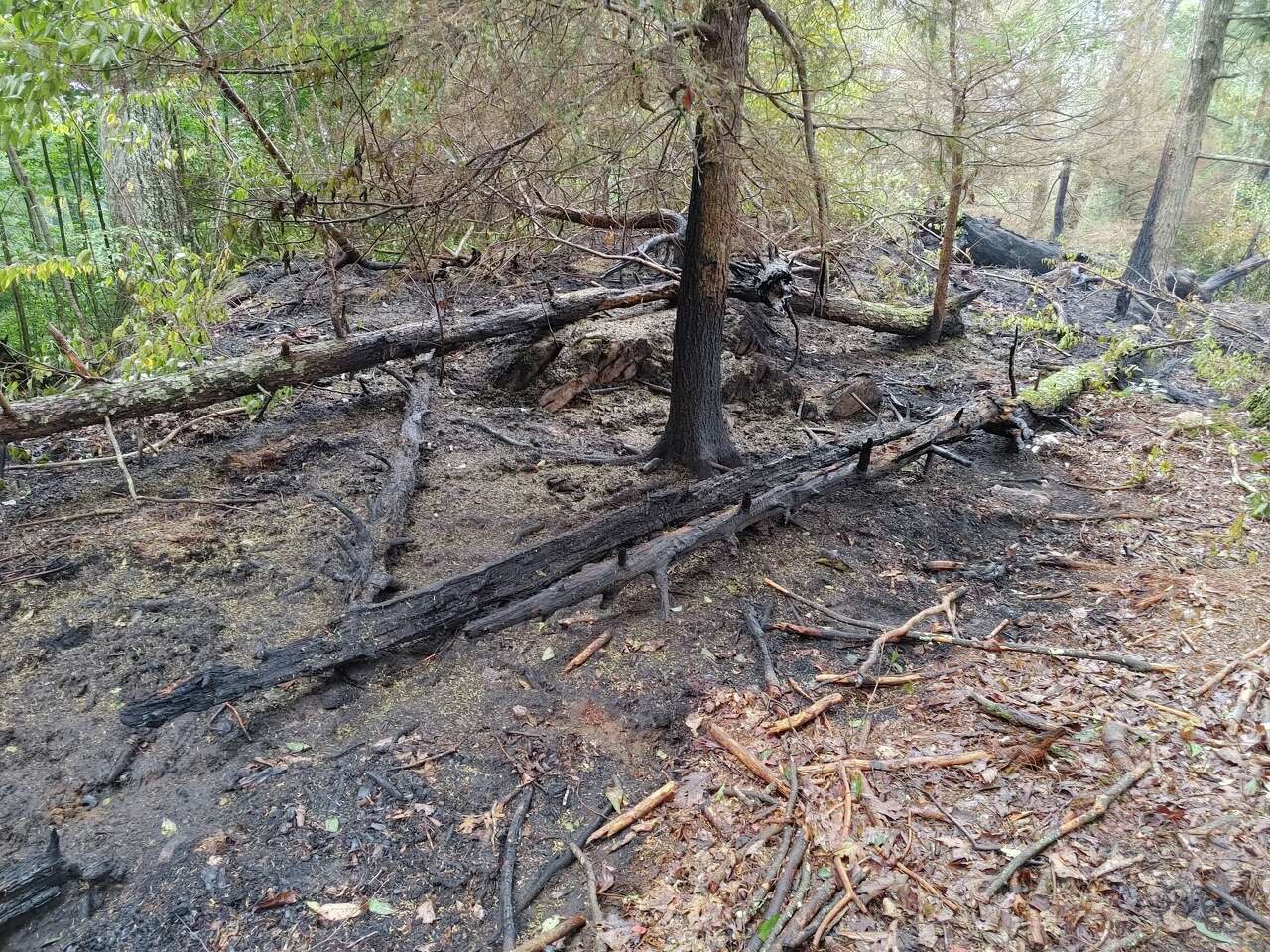 Brush fire risk remains 'high' in CT Monday as conditions stay dry ...