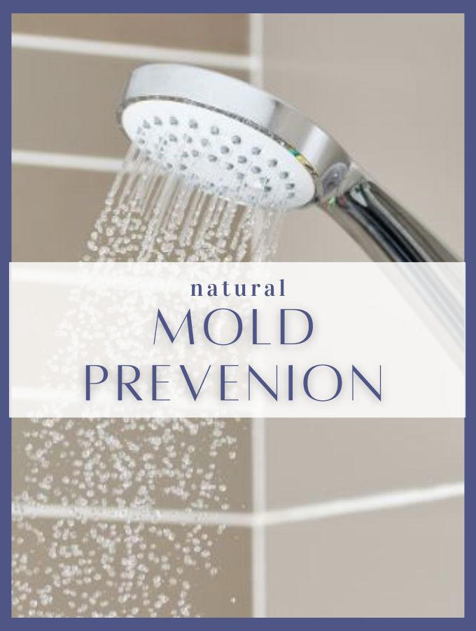 How To Avoid Mold In Shower