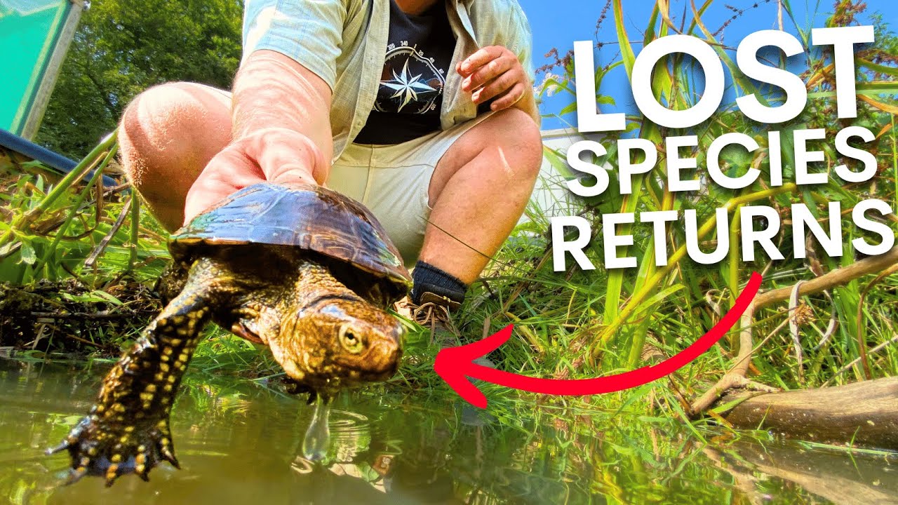 The return of a species lost for 2000 years
