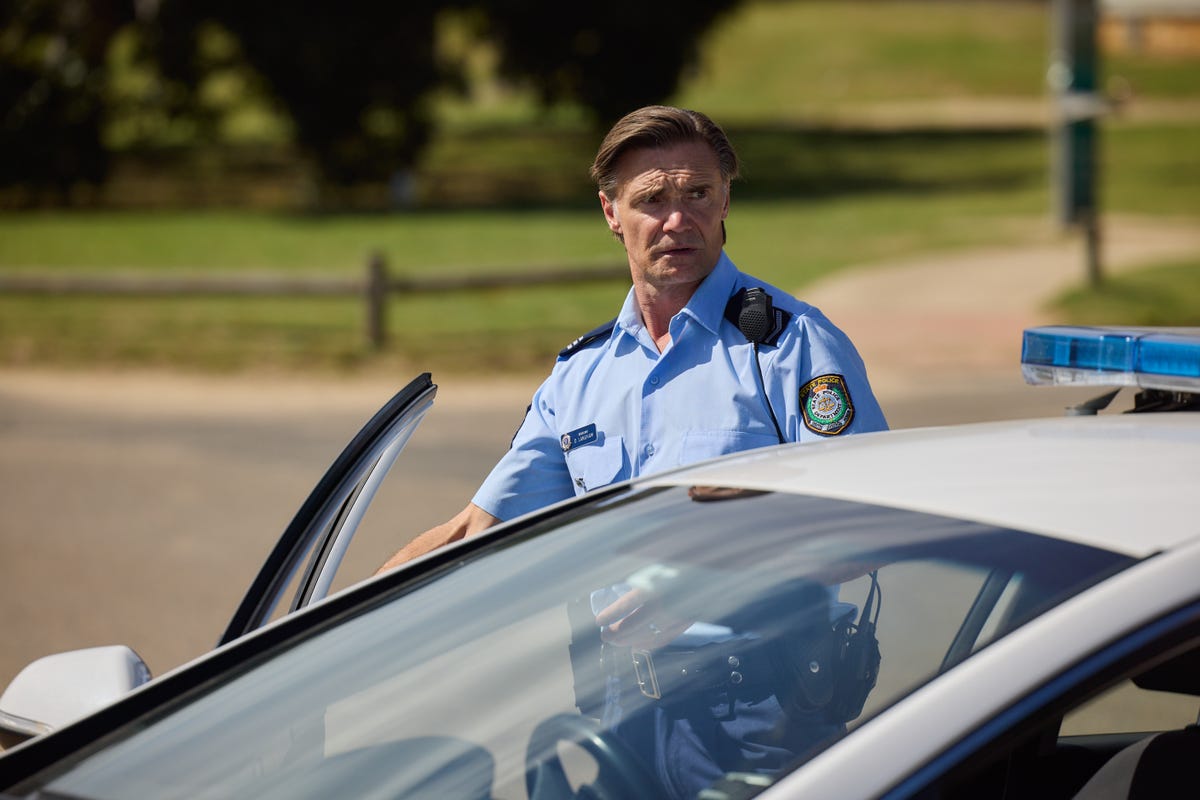 David Langham in Home and Away