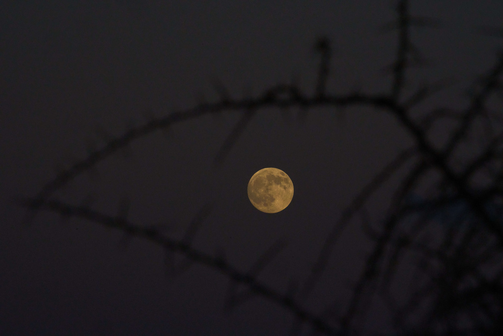 First supermoon of 2025 will light up the sky. Here’s when to look up