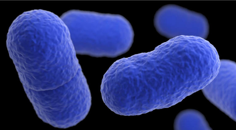 Wholesale Produce Supply Recalls Fresh-Cut Cantaloupe Over Possible