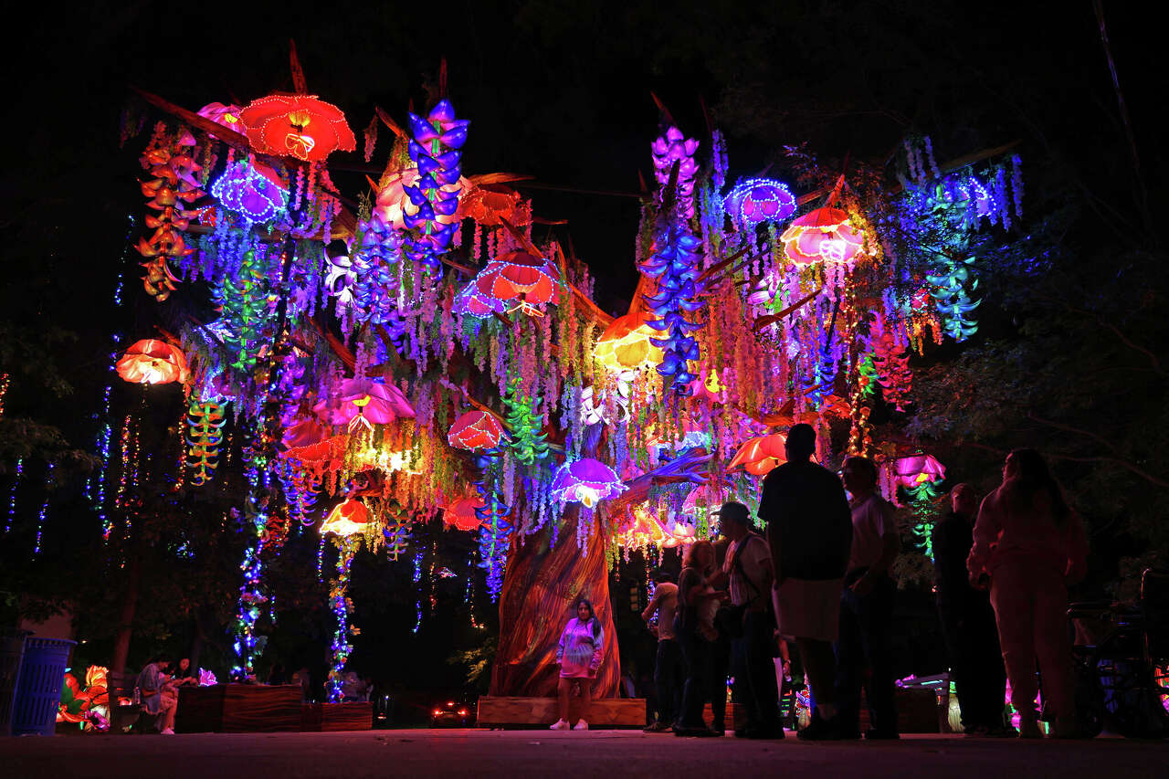 San Antonio Botanical Garden dazzles with newest holiday exhibit