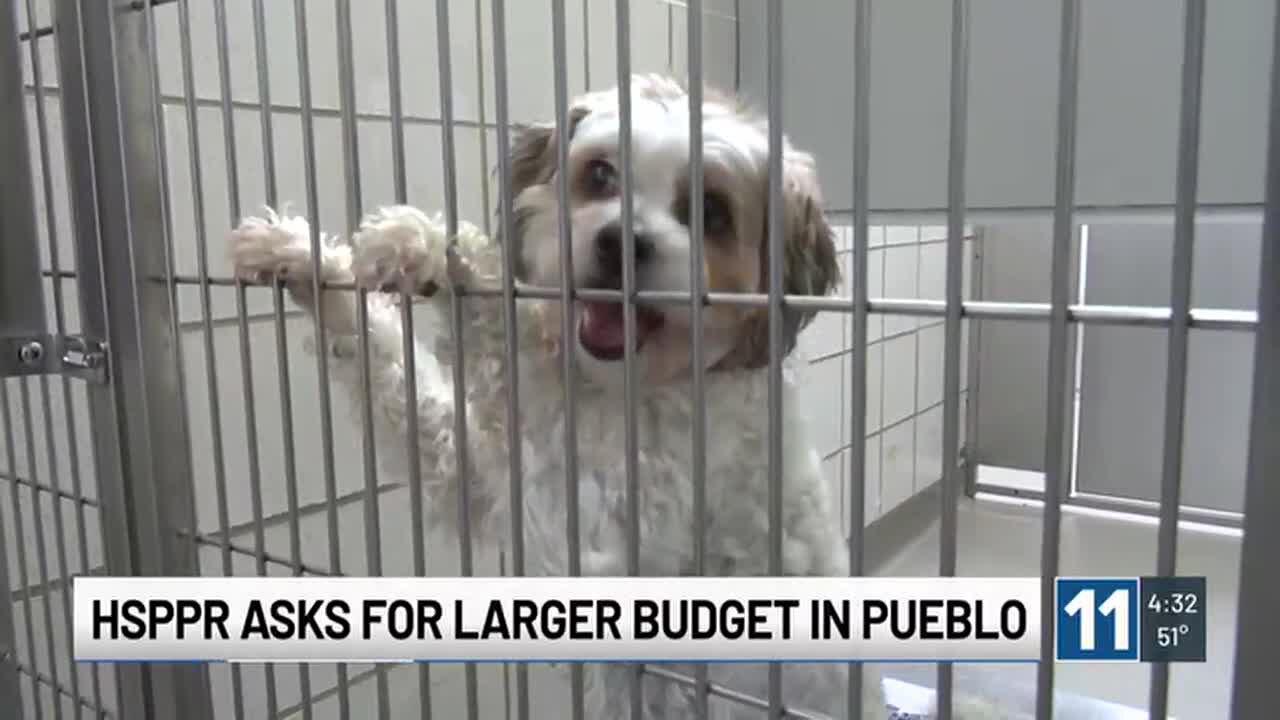 Pueblo shelter needing additional funding amidst substantial animal ...