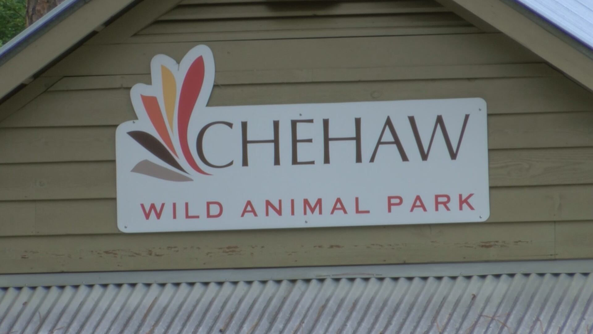 Upland Wildlife Festival returns to Chehaw Park & Zoo