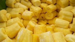 Tape Singkong Aman untuk GERD? Ini Probiotik dan Dampak Alkoholnya