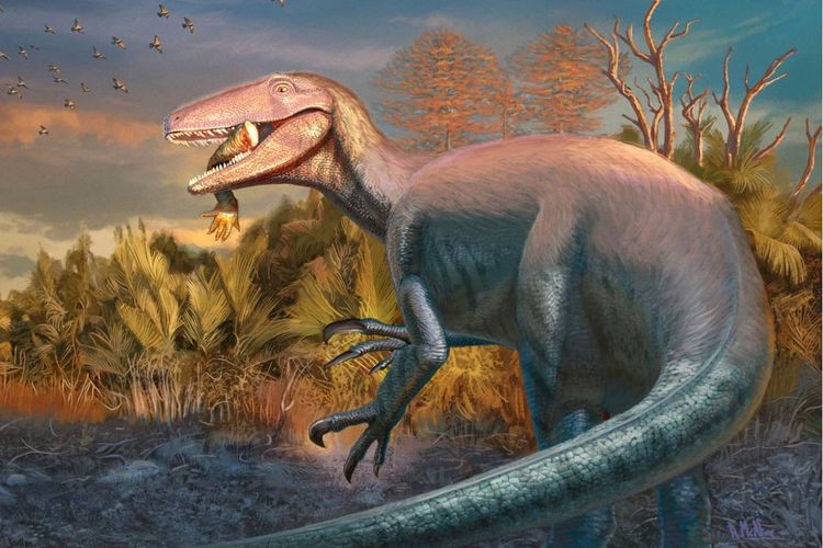 Fosil Megaraptor Dengan Makanan Terakhir di Mulutnya Ditemukan