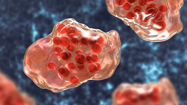 Los Angeles County confirms fourth measles case of the year in LAX traveler