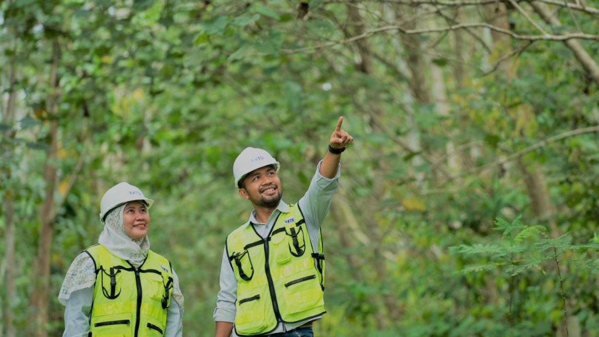 Respons Pasar Terhadap Rencana Buyback ITMG: Investor Tunggu dan Lihat