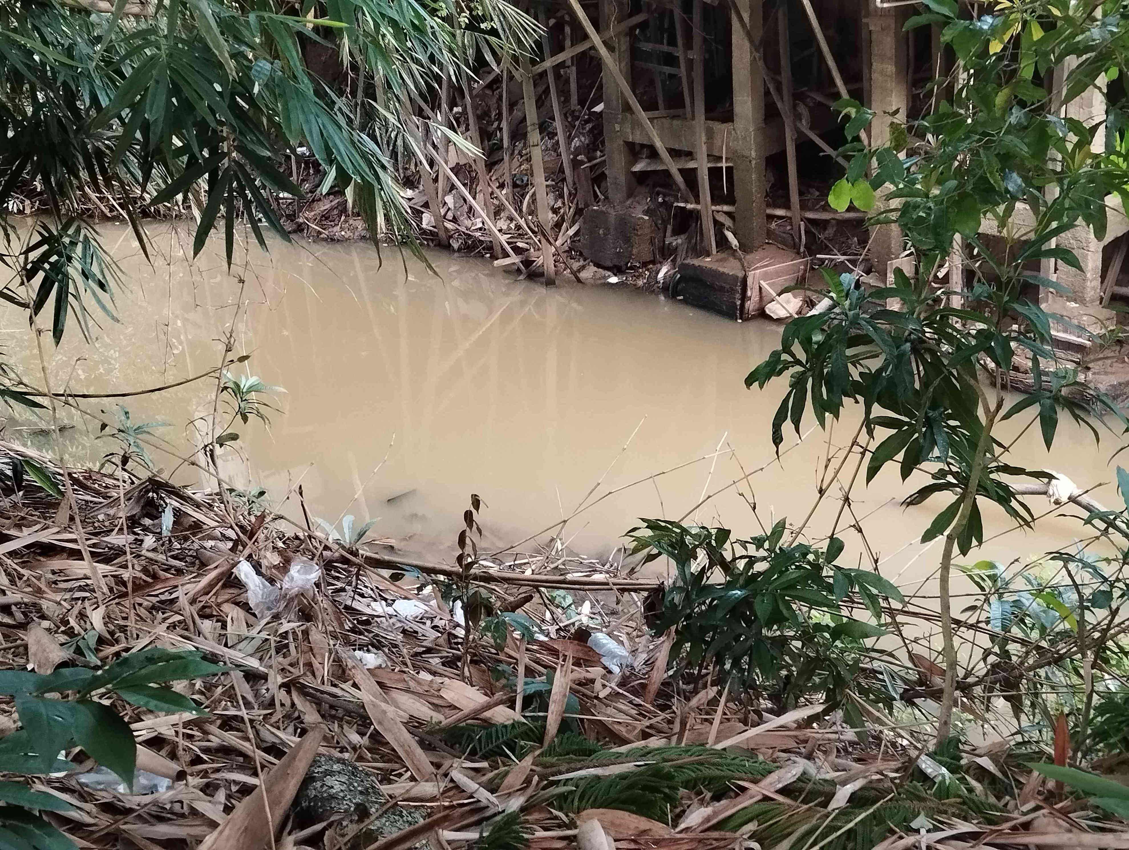 Lirik Sedih Sungai Angkinang