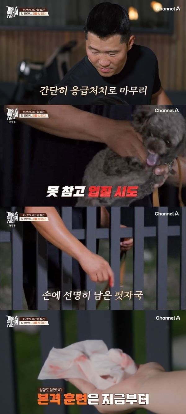 강형욱, 개물림 사고 피 철철…견주 안락사 고민