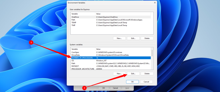 Selecting the environment variable that controls how many processors the system reports.
