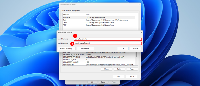 Creating a new Environment Variable.