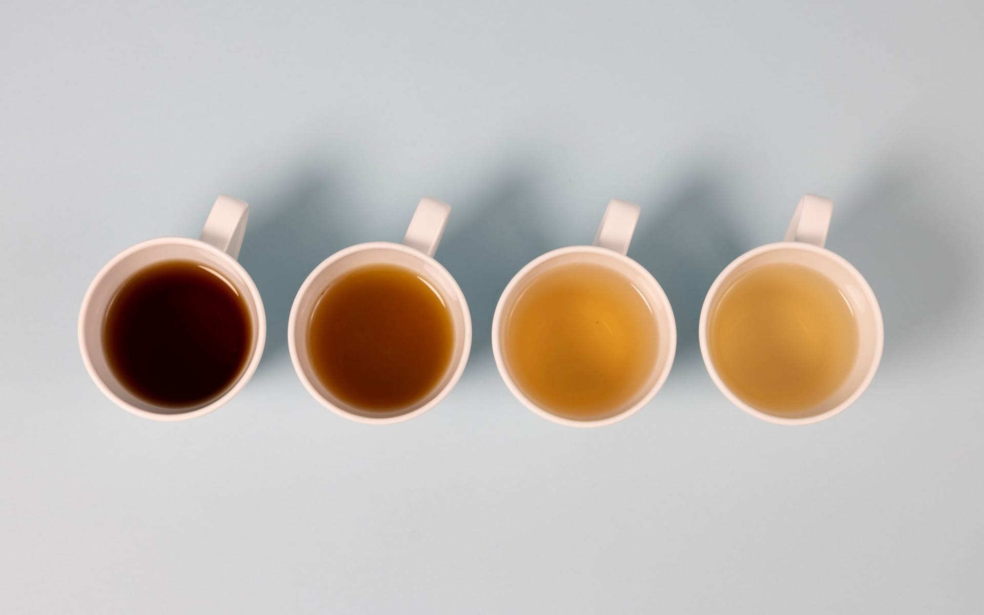 Different types of tea in order of colour