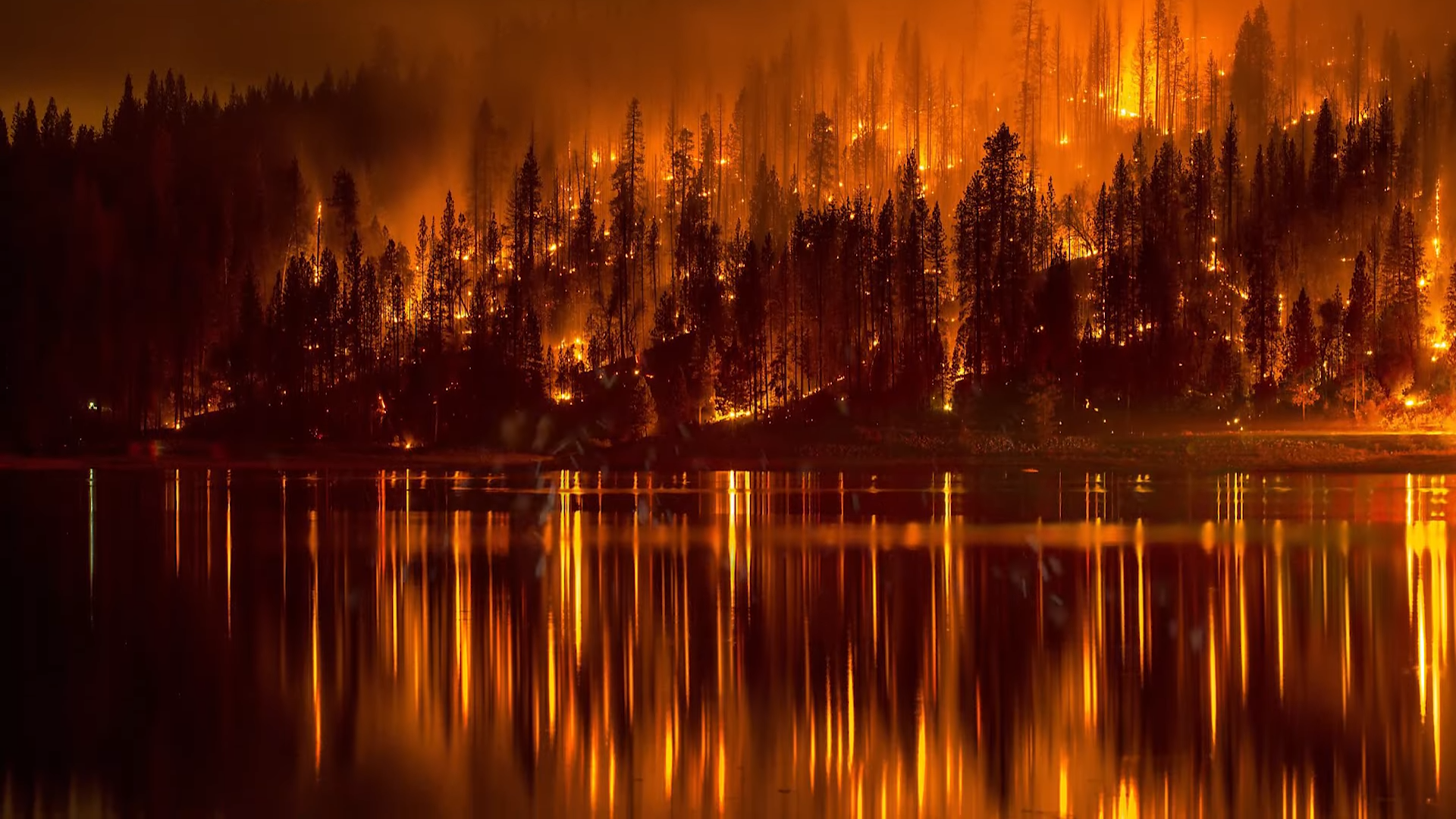 The terrifying cost of destroying the Amazon