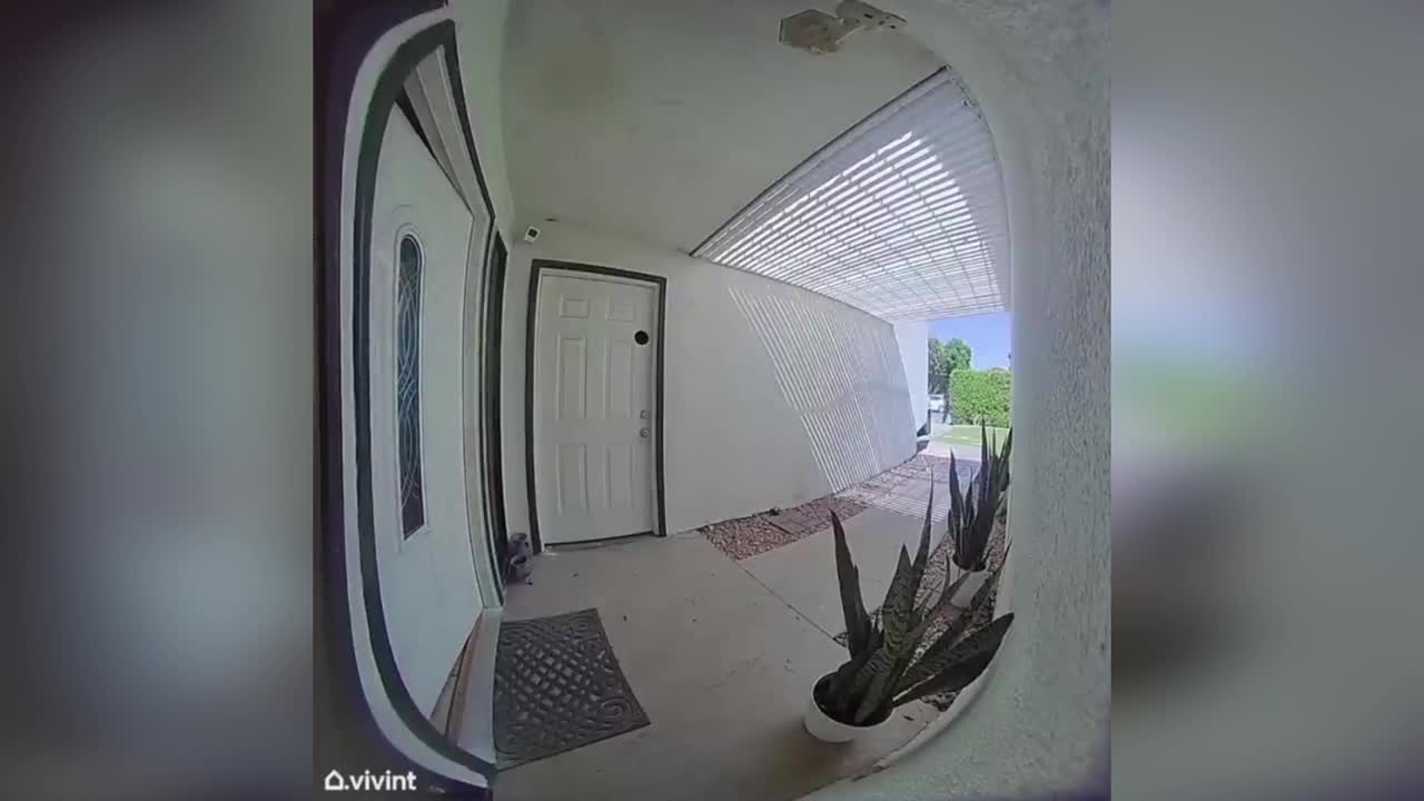 US Doorbell Camera Captures Knife Attack On Officer In Cathedral City