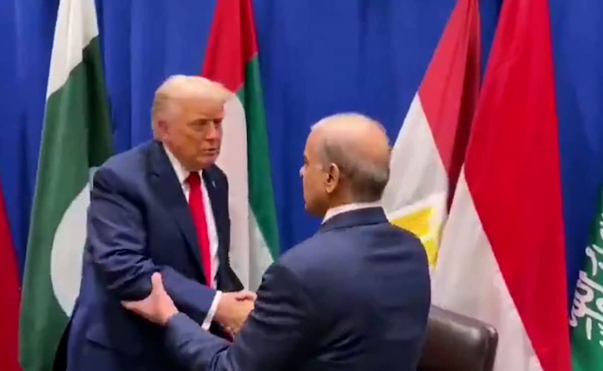 Trump Meets Pakistan PM Shehbaz Sharif In Latest Sign Of Warming Ties